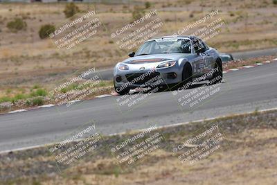 media/May-03-2025-Lucky Dog Racing (Sat) [[206de64b9d]]/Turn 6 (150pm-230pm)/